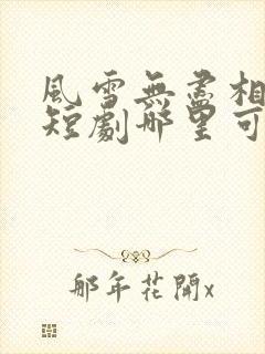 风雪无尽相思情短剧哪里可以看