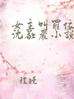 女主叫罗依依和沈敬岩小说免费阅读