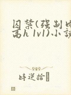 囚禁(强制肉 高h 1v1)小说