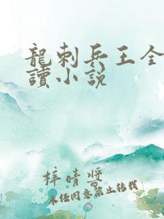 龙刺兵王全文阅读小说