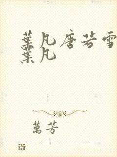 叶凡唐若雪王婿叶凡