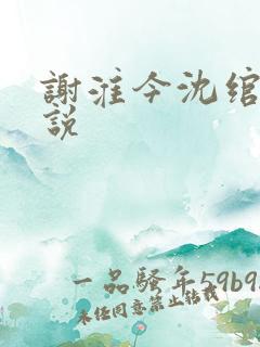 谢淮今沈绾宁小说