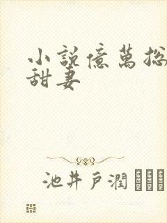 小说亿万总裁追甜妻