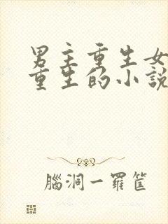 男主重生女主没重生的小说