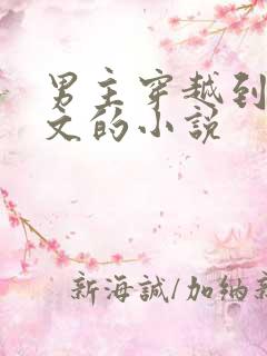 男主穿越到年代文的小说