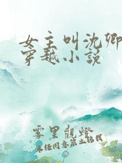 女主叫沈卿卿的穿越小说