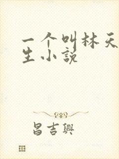 一个叫林天的重生小说