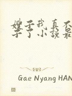 嫂子我真不是傻子了小说最新章下载