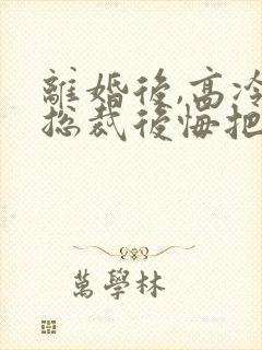 离婚后,高冷女总裁后悔把