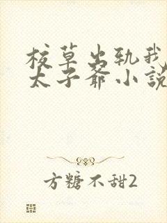 校草出轨我闪婚太子爷小说