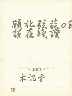 顾北弦苏o的小说在线读