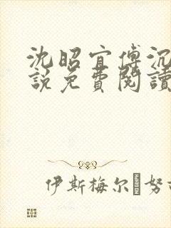 沈昭宜傅沉砚小说免费阅读最新章节