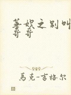 华娱之别叫导演哥哥