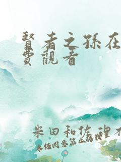 贤者之孙在线免费观看