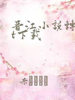 晋江小说转txt下载