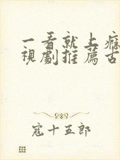 一看就上瘾的电视剧推荐古装