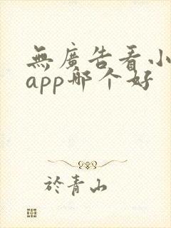 无广告看小说的app哪个好