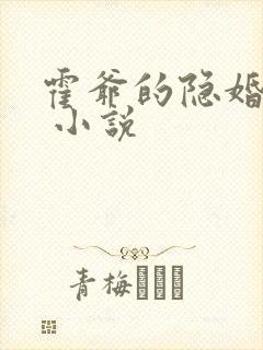 霍爷的隐婚罪妻 小说