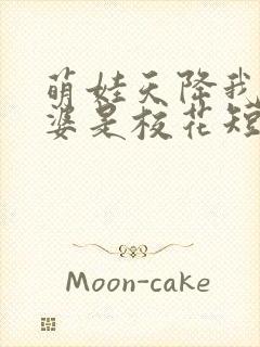 萌娃天降我的老婆是校花短剧