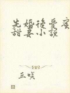 先婚后爱蜜宠娇甜妻小说
