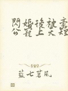 闪婚后被豪门老公宠上天短剧