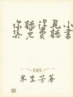 你听得见小说全集免费听书