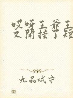 哎呀王爷王妃她又开挂了短剧