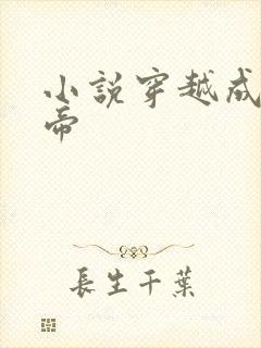 小说穿越成崇祯帝