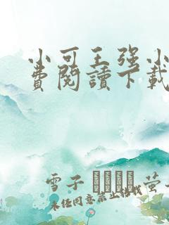 小可王强小说免费阅读下载