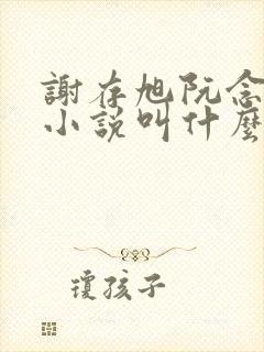 谢存旭阮念清的小说叫什么