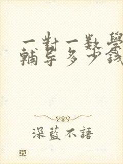 一对一数学在线辅导多少钱