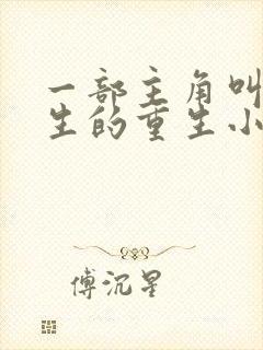 一部主角叫叶长生的重生小说