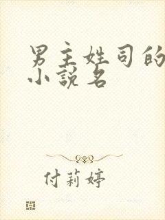 男主姓司的全部小说名