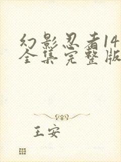 幻影忍者14季全集完整版