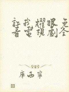 许我耀眼免费观看电视剧全集