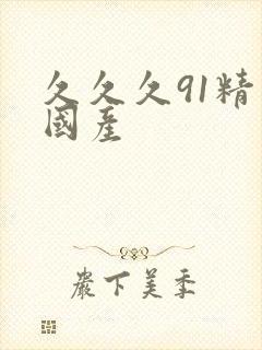 久久久91精品国产