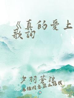 《真的爱上你》歌词