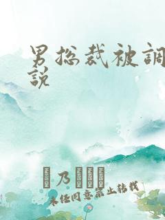 男总裁被调教小说