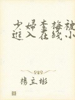 少妇李梅被猛烈进入在线小说