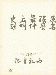 史上最强原著小说叫什么名字