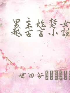 男主姓楚女主穿越古言小说