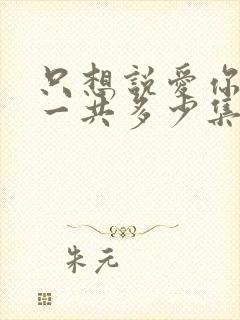 只想说爱你泰剧一共多少集