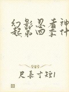 幻影忍者神龙崛起第四季什么时候出