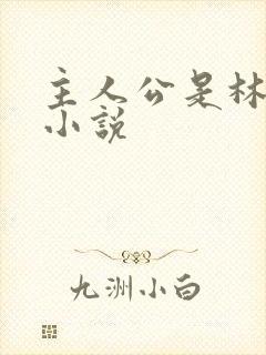 主人公是林正的小说