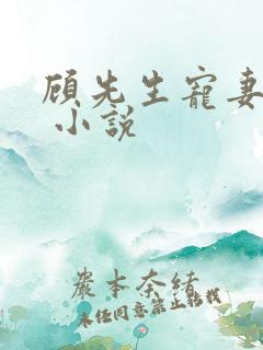 顾先生宠妻如命 小说