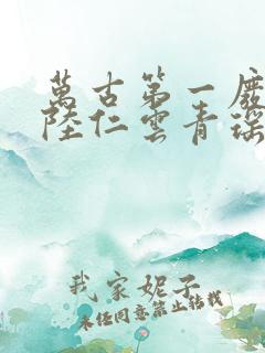 万古第一废材 陆仁云青瑶