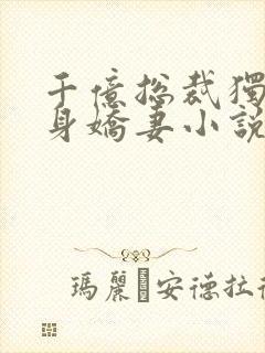 千亿总裁独宠替身娇妻小说