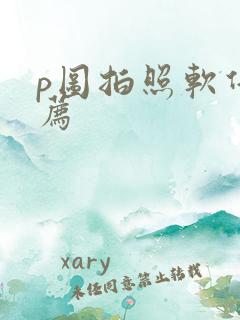 p图拍照软件推荐