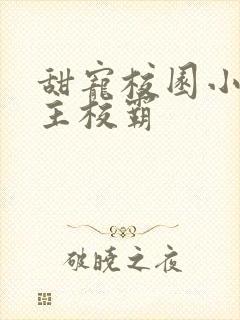 甜宠校园小说男主校霸