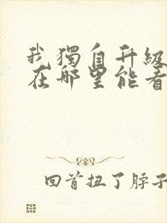 我独自升级动漫在哪里能看